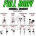 Full-Body Workouts for Beginners 2025