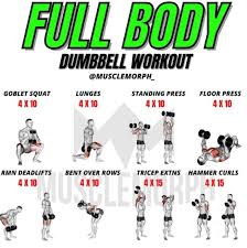 Full-Body Workouts for Beginners 2025